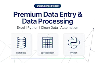 do python data cleaning, excel data entry, and automation