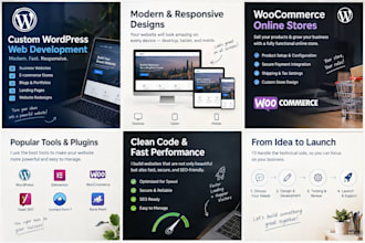develop a professional, responsive and user friendly website