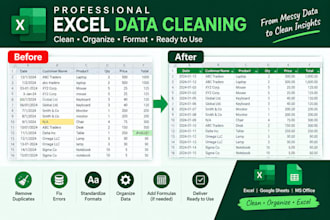 clean and format excel spreadsheets and data