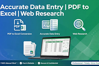accurate data entry web research pdf to excel conversion and data cleaning