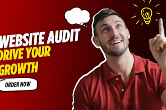 seo all performance audit