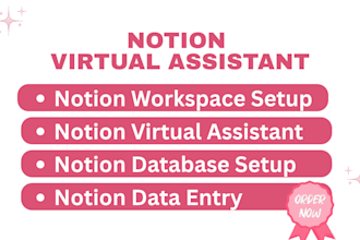 be your virtual assistant for notion workspace setup and data entry