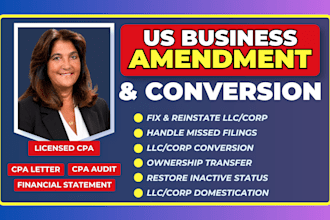 do llc amendment, llc reinstatement, llc conversion, llc corp ownership transfer