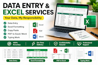 data entry and pdf convert to excel sheet and typing
