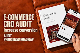 audit your ecommerce website and create a conversion roadmap