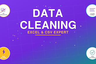 clean and organize your excel or CSV data