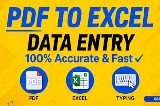 do PDF to excel data entry and typing work
