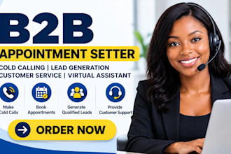 do b2b appointment setting cold call b2b lead customer service virtual assistant