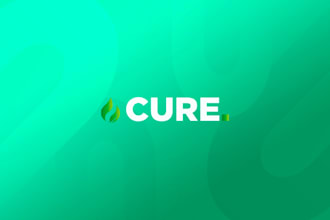 design a complete brand identity with logo and brand guidelines