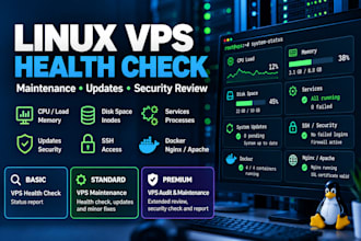 perform a linux vps health check and server maintenance