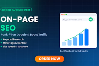 do complete onpage SEO optimization for your website