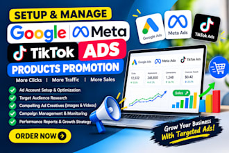setup and manage google, meta and tiktok ads