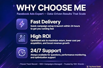 setup and optimize high converting facebook and instagram ads campaign