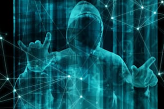 perform forensic accounting, fraud trace audit assets fiduciary reports