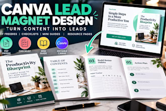 design canva lead magnet PDF freebie for coaches