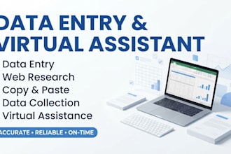 do professional data entry and web search