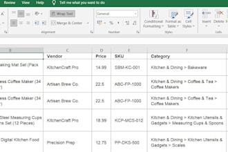 do professional data entry, excel, and data cleaning work