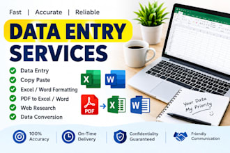 data entry, copy paste and excel data entry