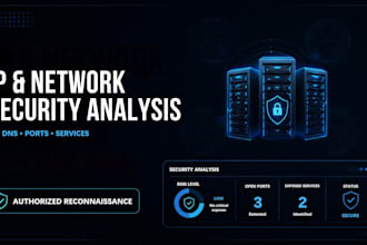 analyze your IP, dns, ports and exposed network services