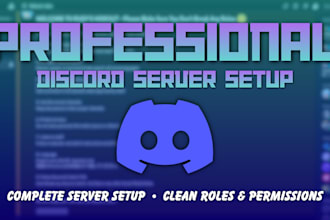 create and setup a professional discord server