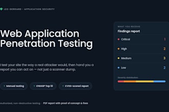 perform an external network pentest and vulnerability scan with report