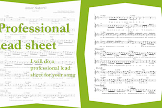 do a professional lead sheet for your song