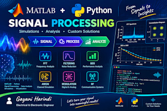 create matlab and python signal processing simulations