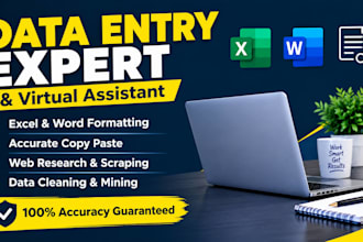 do expert data entry, virtual assistant, and excel data cleaning