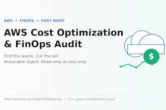 audit your AWS cloud costs and deliver a finops optimisation report