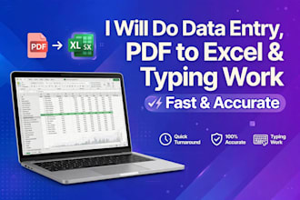 do fast and accurate data entry and typing and excel work