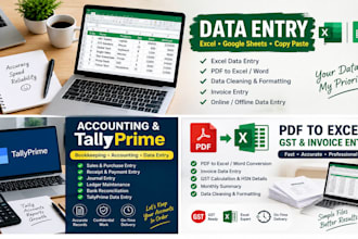 do accurate excel data entry, accounts data entry and tally
