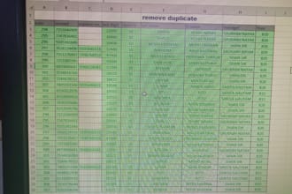excel data entry, formatting, sorting and data cleaning