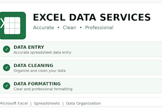 do excel data entry data cleaning and formatting