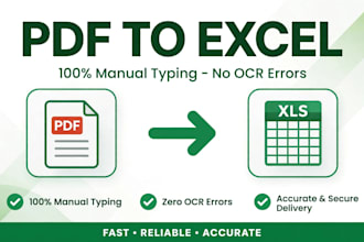 manually type PDF scanned images,and invoices into clean excel sheets