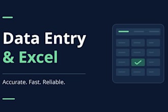 do data entry and excel work accurately and fast