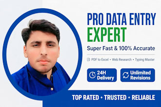 do fast data entry, typing, copy paste and excel work