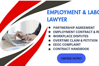 provide expert employment law advice and contract review