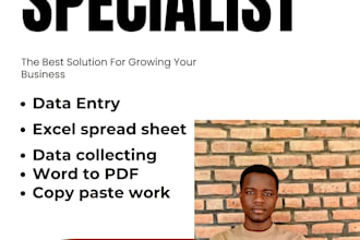 do excel data entry, copy paste and website data entry tasks