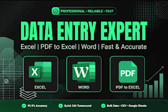 do data entry typing copy paste pdf to excel and word