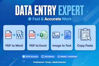 do accurate pdf to word, excel data entry and typing