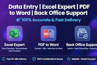 do data entry excel pdf to word and back office support