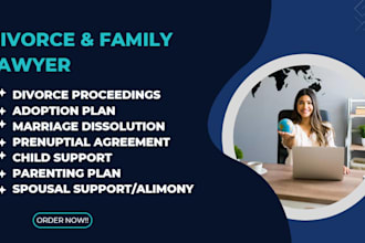 provide expert divorce family law legal consultation
