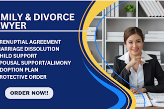 family lawyer in divorce case, child custody and support lawsuits