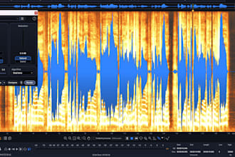 clean up and repair voice, instrument audio