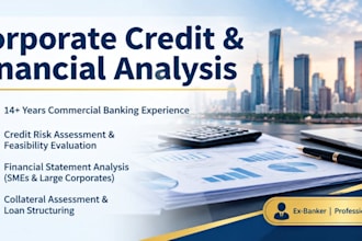 perform financial and credit risk assesment for your business