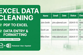 clean, format and convert excel data and PDF to excel