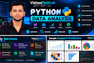 do python data analysis and data visualization