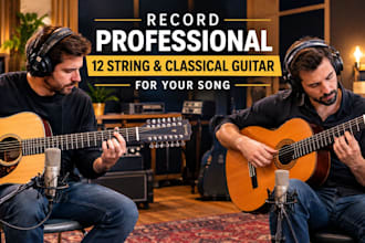 record professional 12 string and classical guitar for your song