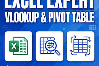 do excel data entry, vlookup, pivot table and formulas