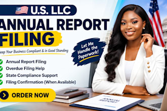 file your llc annual report, overdue filing and state compliance